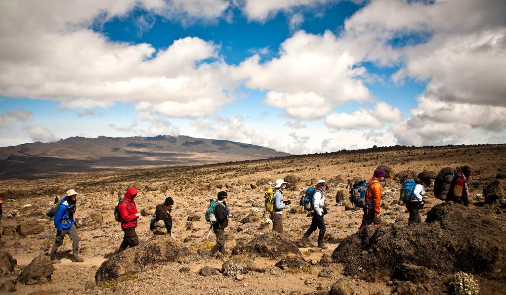 Kilimanjaro Trekking & Safari