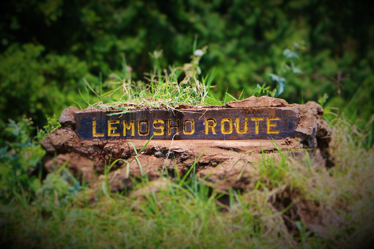 9 Days Lemosho Route 1